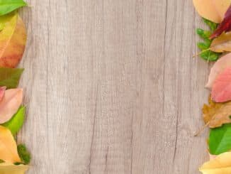 madera de arce blanco